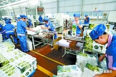 这波更劲爆 没有套路,让您净赚百元