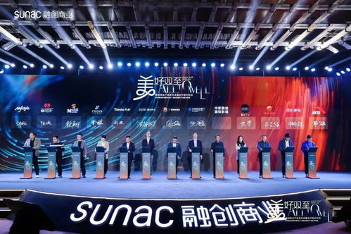 双子星 闪耀,南宁融创商业产品发布会成功举行