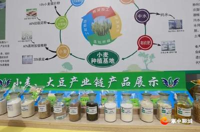 提振信心士气 奋力比拼赶超--聊城全市重点项目上半年现场观摩会议第二日见闻