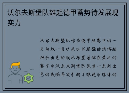 沃尔夫斯堡队雄起德甲蓄势待发展现实力