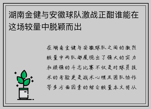 湖南金健与安徽球队激战正酣谁能在这场较量中脱颖而出